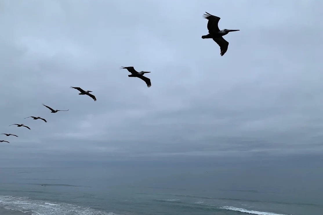 South Carlsbad State Beach