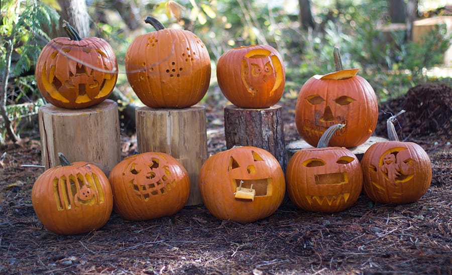 Celebrate_Halloween_Outdoors_pumpkin_carving.jpg