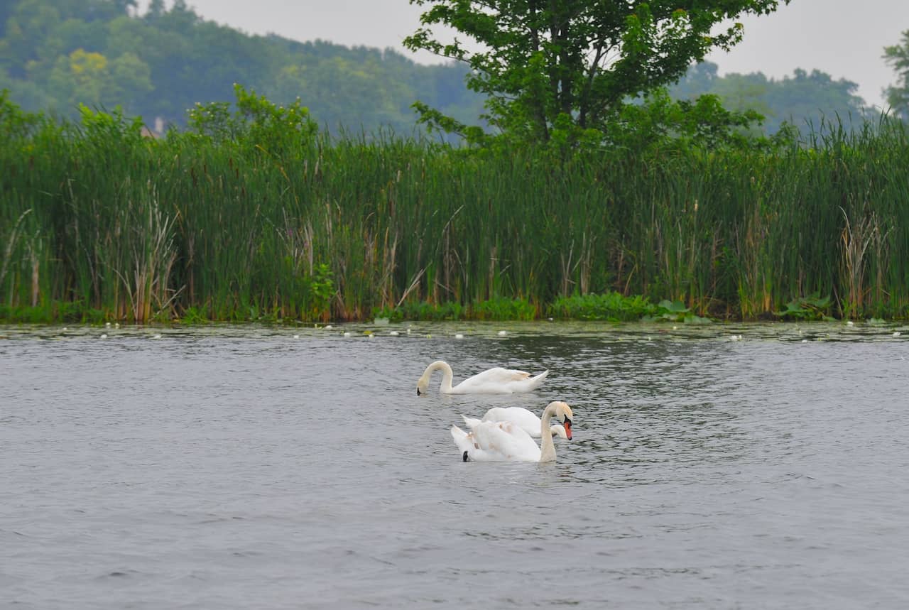 rv-rental-Pokagon-State-Park.jpg