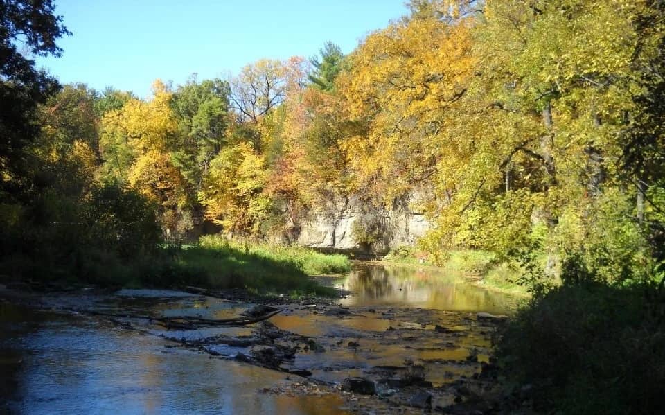 White Pines Forest State Park