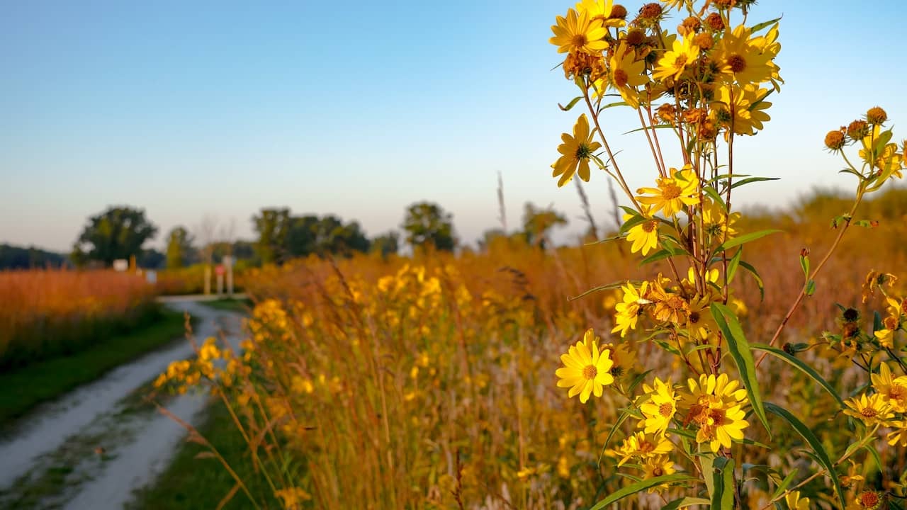 illinois-beach-state-park-4.jpg