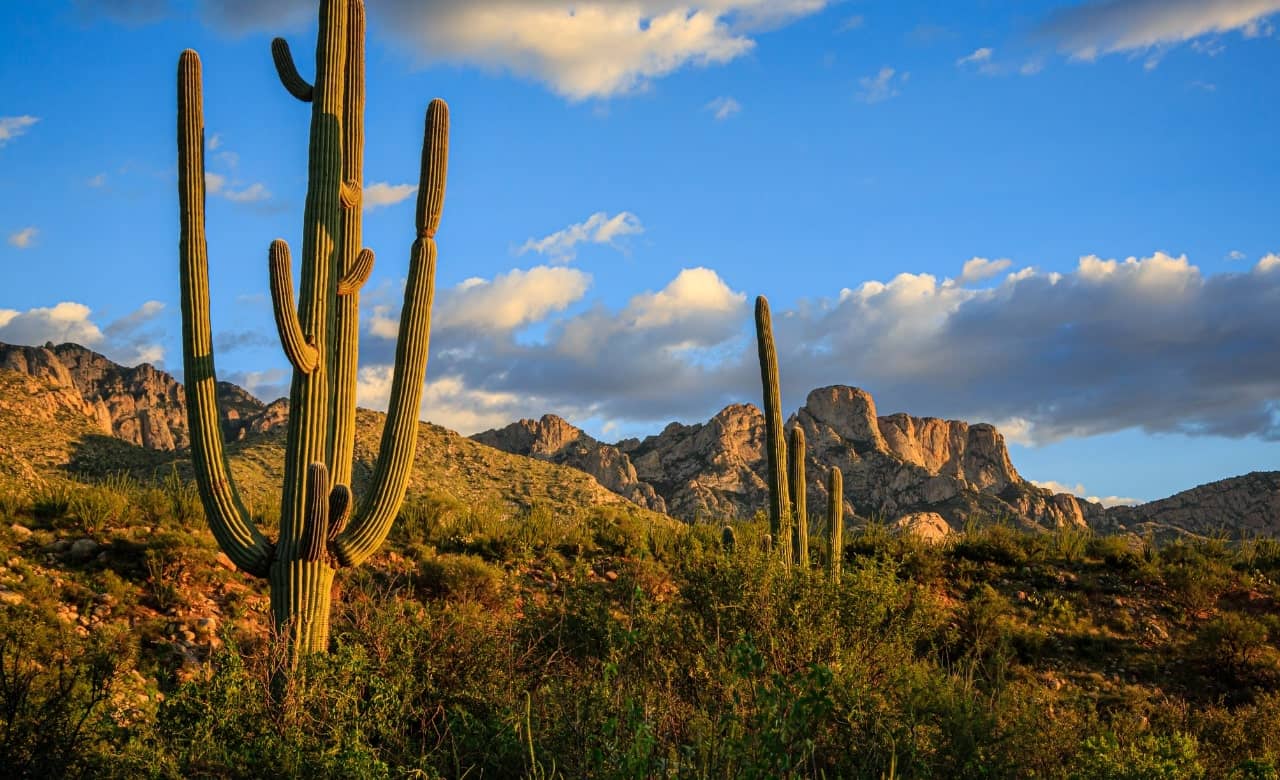 RV Camping Near Catalina State Park