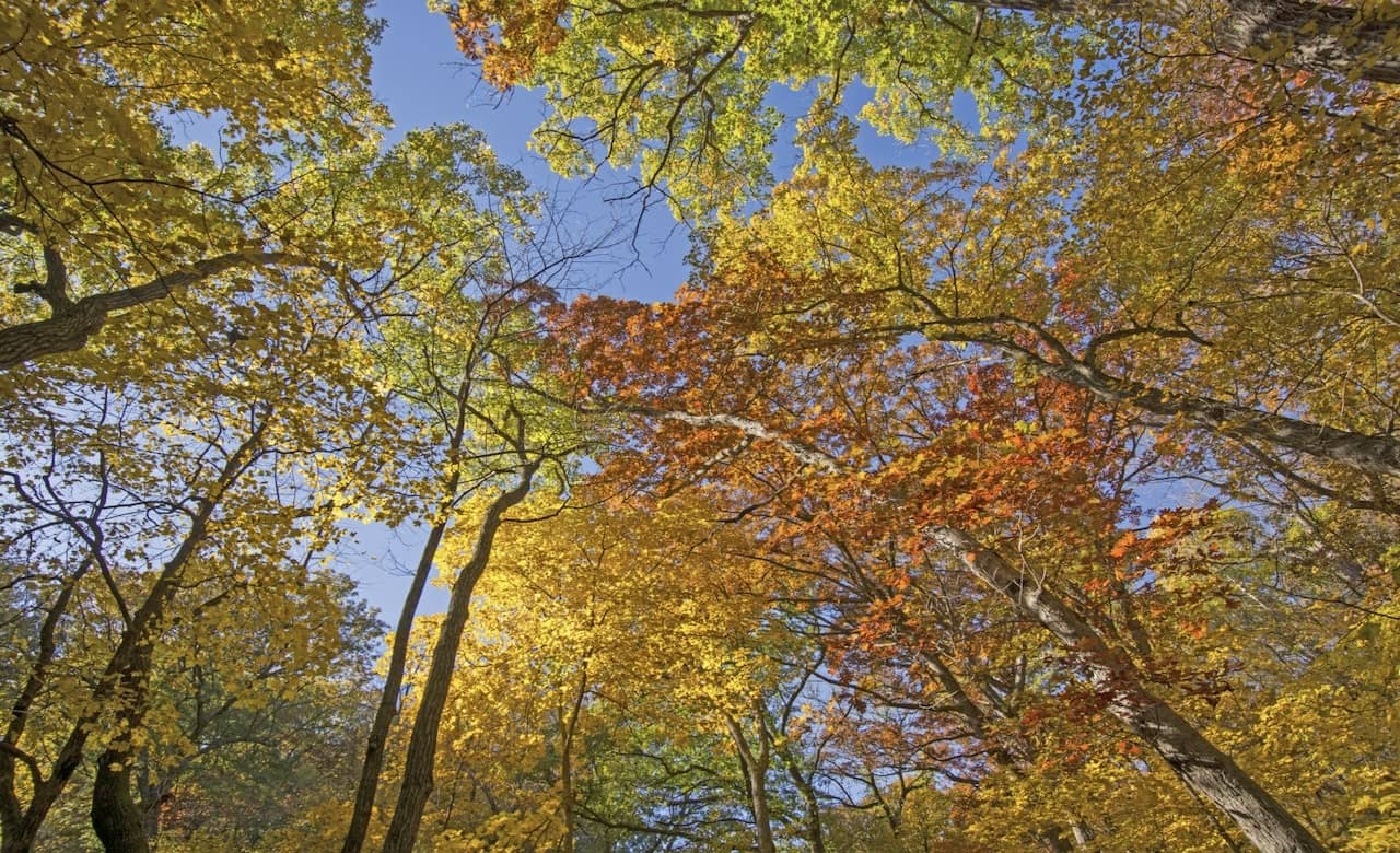 RV Camping Near Dolliver Memorial State Park