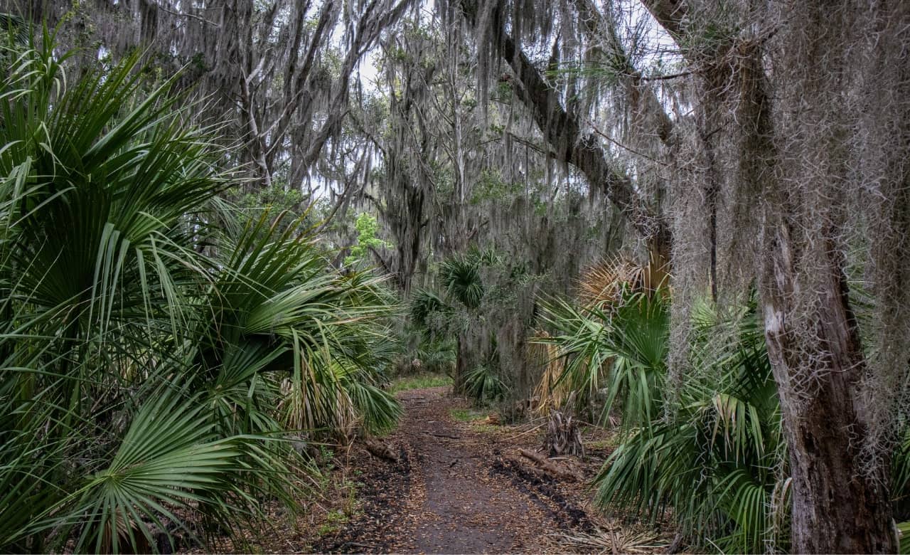 RV Camping Near Skidaway Island State Park