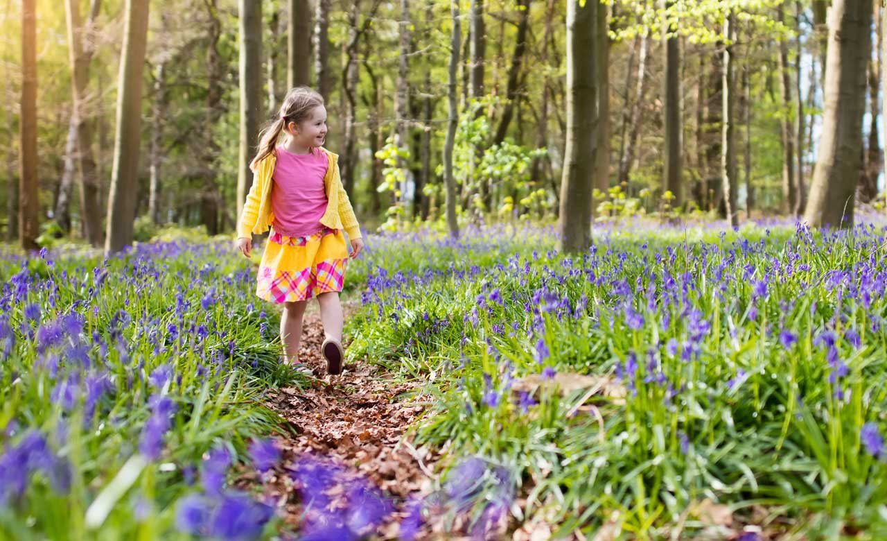 Spring Into Action with Cruise America