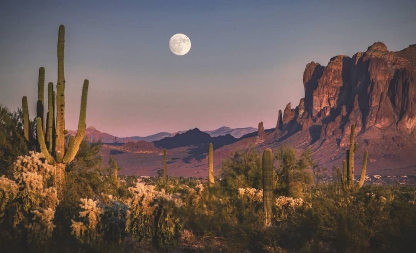 camping near saguaro national park

