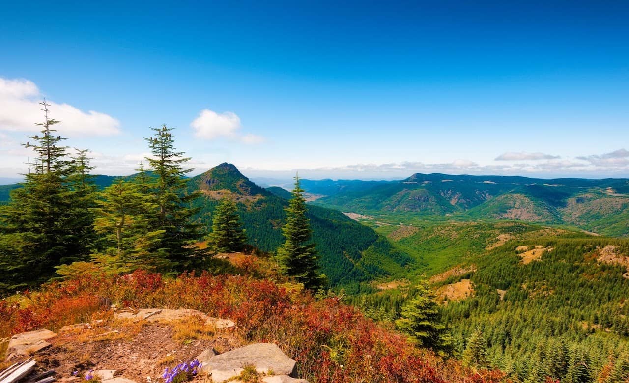 Boondocking Sites in Washington State & Olympic National Park