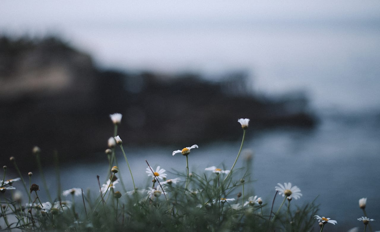 San Diego RV Rentals