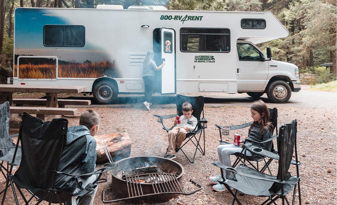 Redwood camping