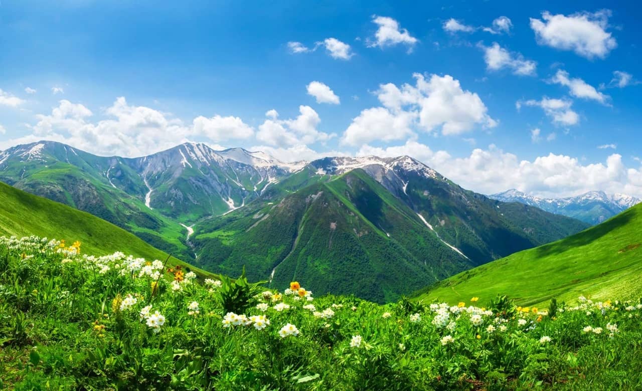 15 Boondocking Locations and Free Campsites in Georgia