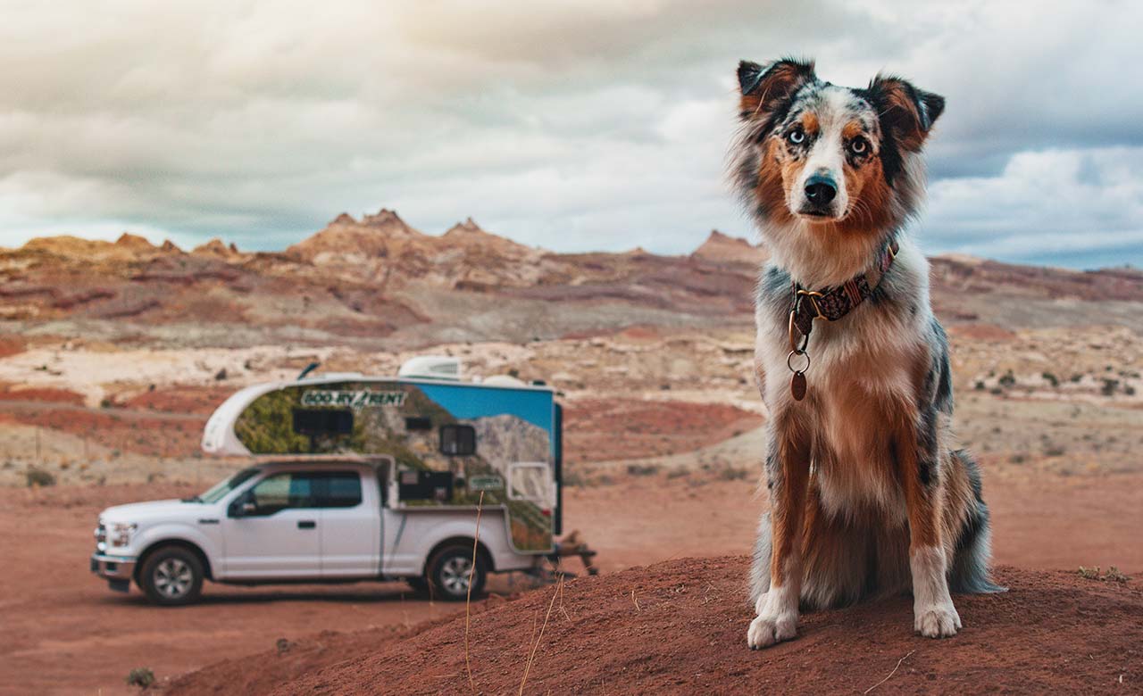 Pet Friendly RV Parks