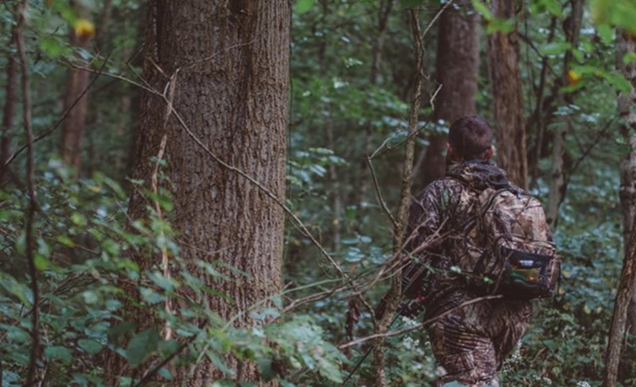 Deer Hunting In Iowa: Top Tips, Hot Spots, and Regulations
