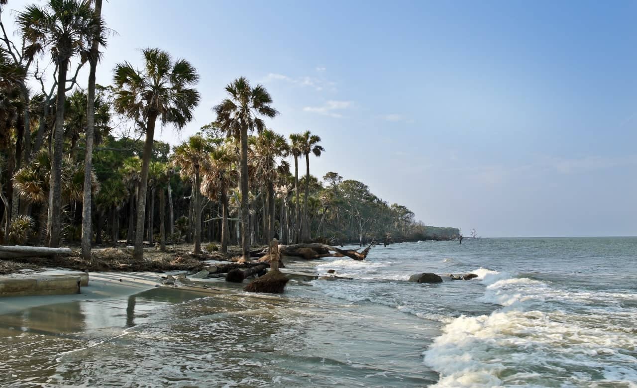 RV Camping in Hunting Island State Park