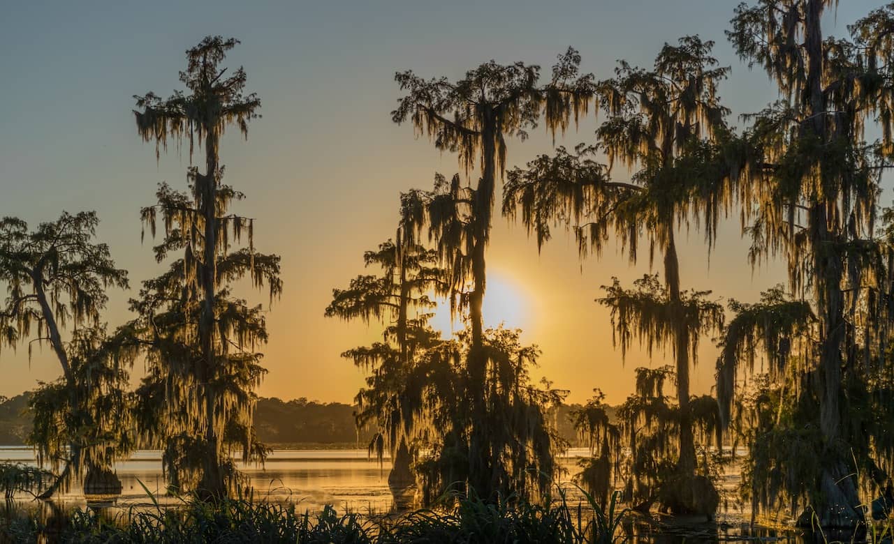 Guide To RV Camping Near Lake Bruin State Park