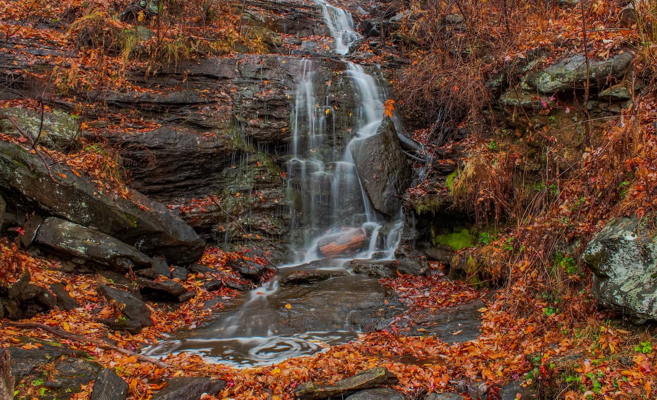 Top 10 Campgrounds Near Charlotte, NC: What To Do & Things To Know